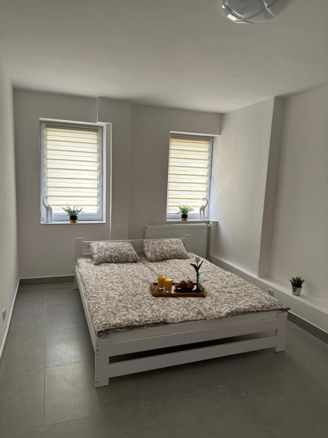 Appartement Apartament Medalionow Z Parkingiem à Lublin Extérieur photo